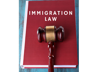 Defining Immigrant