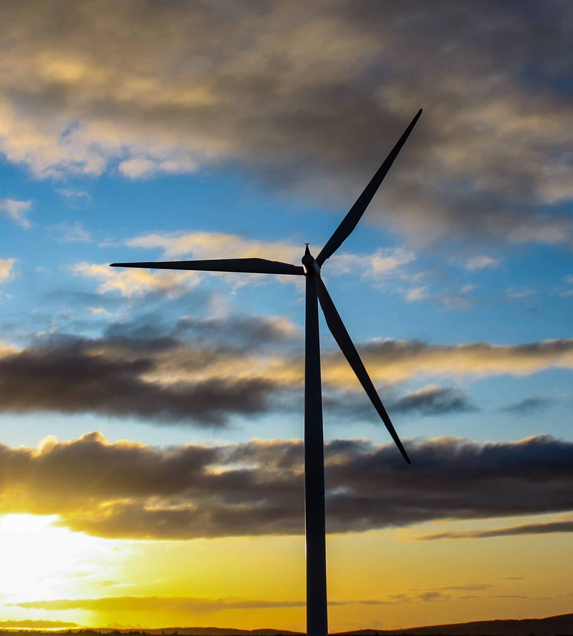 COP26 and the cost of net zero