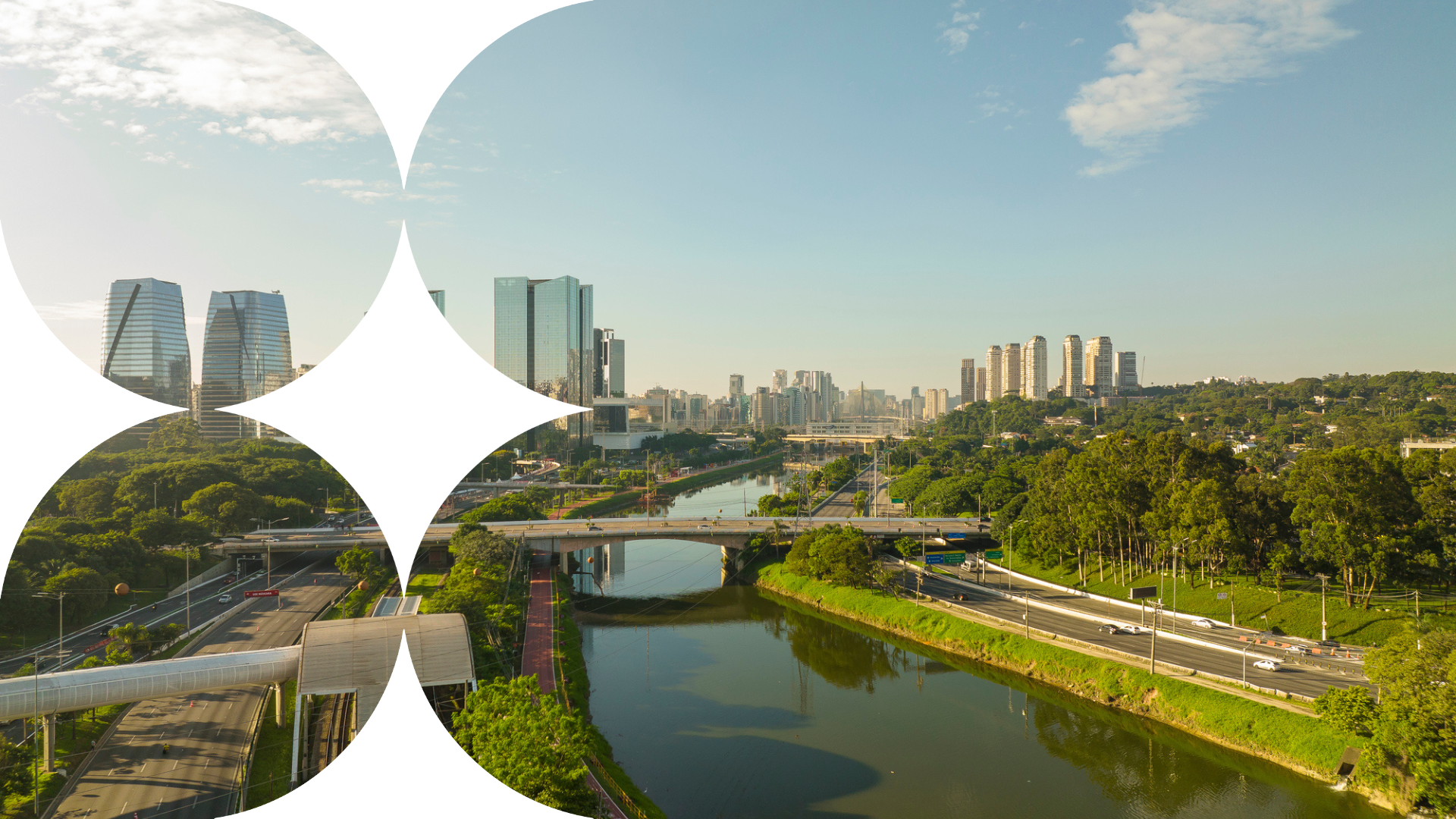 International business transfers