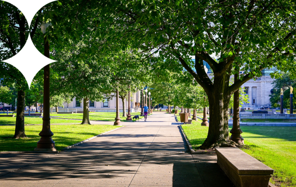 Weekly Market Wrap: Dollar Strengthens Amid Key Economic Events