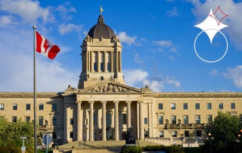 Weekly Brief
