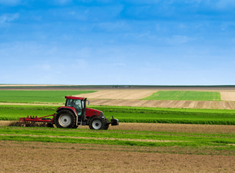agriculture