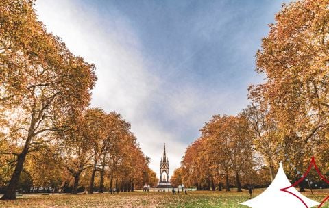 Weekly Brief
