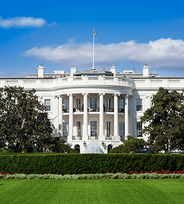 Weekly Brief