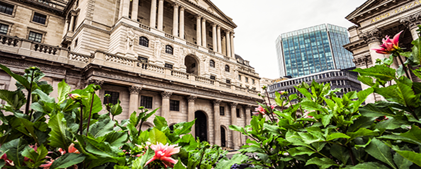 Interest rates remain at 0.5%