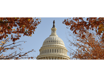 Giving thanks for the rise of the US dollar
