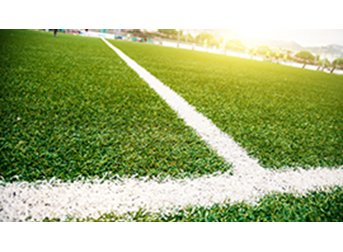 Sports industry