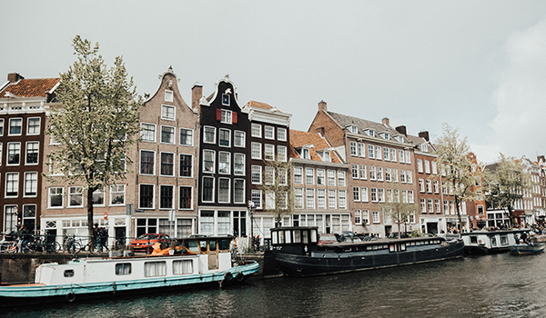 More than tulips in Amsterdam