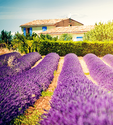 Save money when you buy or sell property abroad