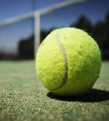 What will the Wimbledon winner win?