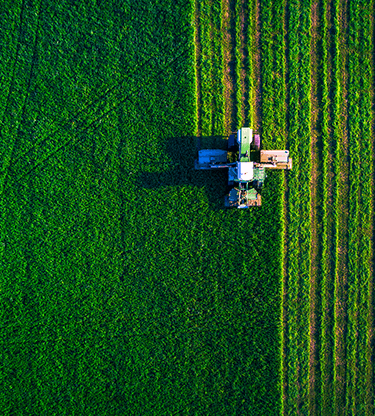 Keeping pace with the global revolution in agriculture