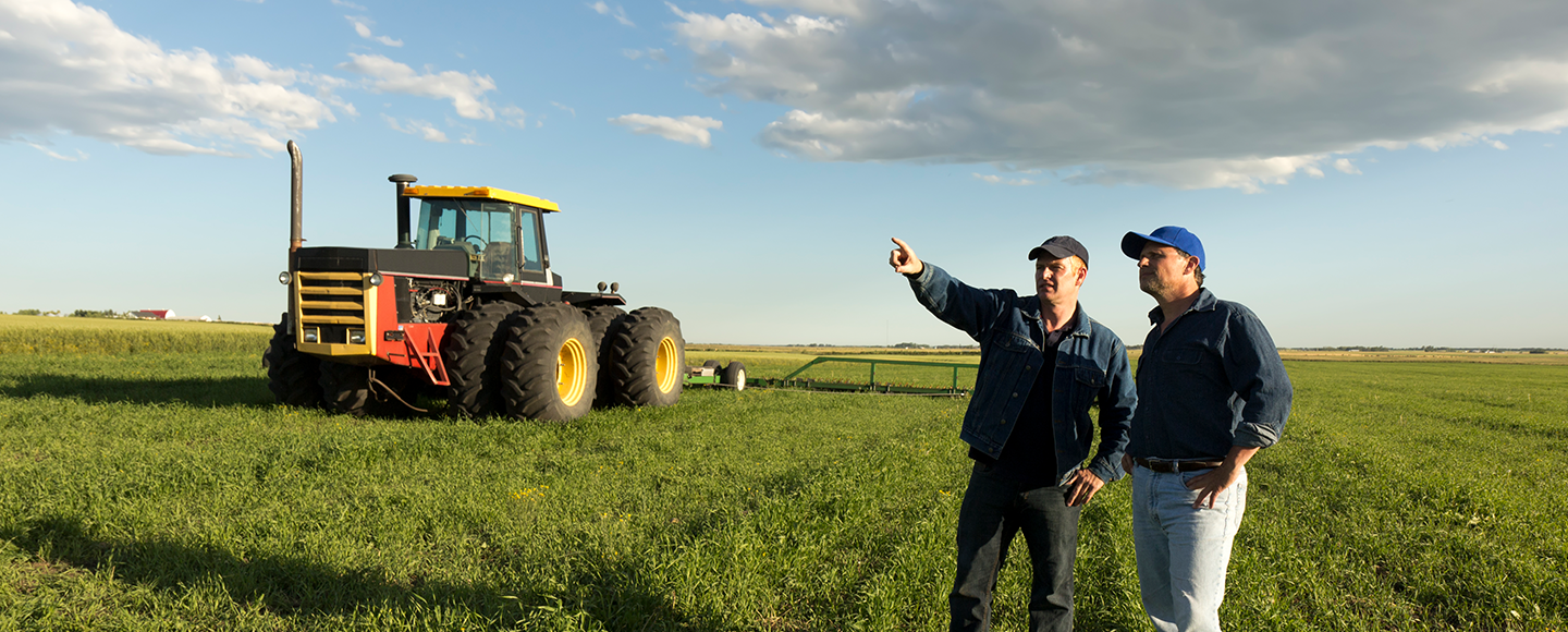 Servicii de schimburi valutare pentru sectorul Agricultura