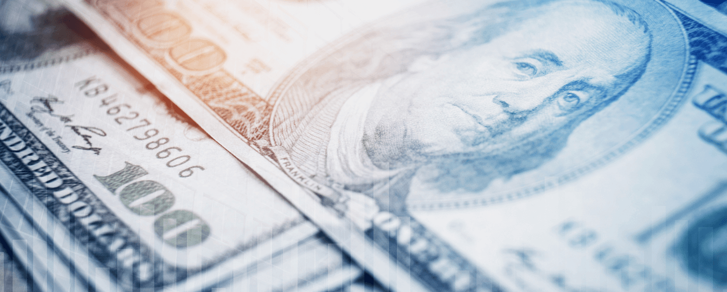 USD Review 2019