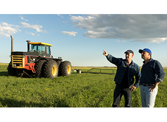 agriculture