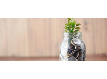 FX Hedging: Understanding Foreign Currency Risks