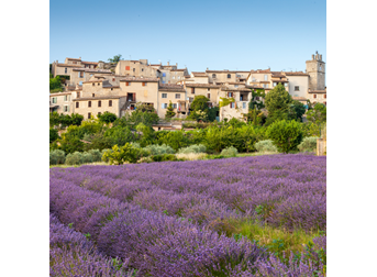 Property Prices in France