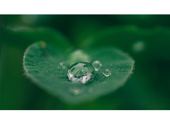 Filters Water