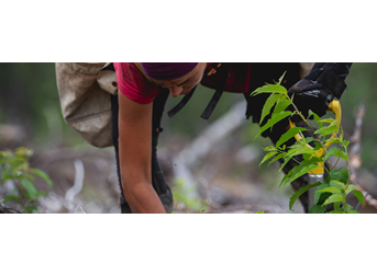 Together, we can do more than just move money around the world. We can help change it.