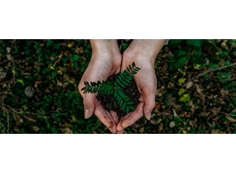 Reforestation Initiative